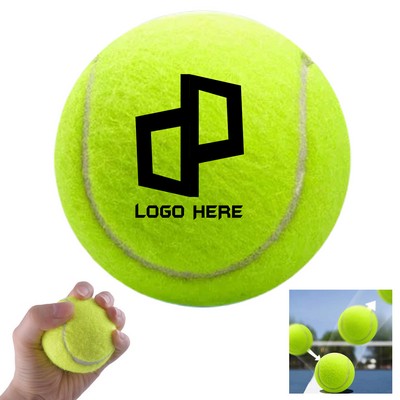 Dog Fetch Tennis Ball